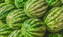 吃瓜网每日大赛 吃瓜黑料精品一区,黑料精品一区精彩内容大盘点